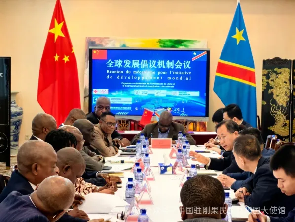 国家国际发展合作署代表团访问刚果（金)